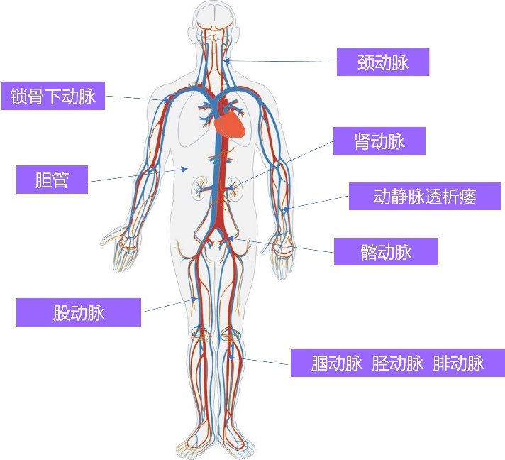 &#107;&#97;&#105;&#121;&#117;&#110;&#24320;&#20113;&#23448;&#26041;&#32593;&#39029;&#29256;&#45;&#107;&#97;&#105;&#121;&#117;&#110;&#24320;&#20113;&#40;&#20013;&#22269;&#41;